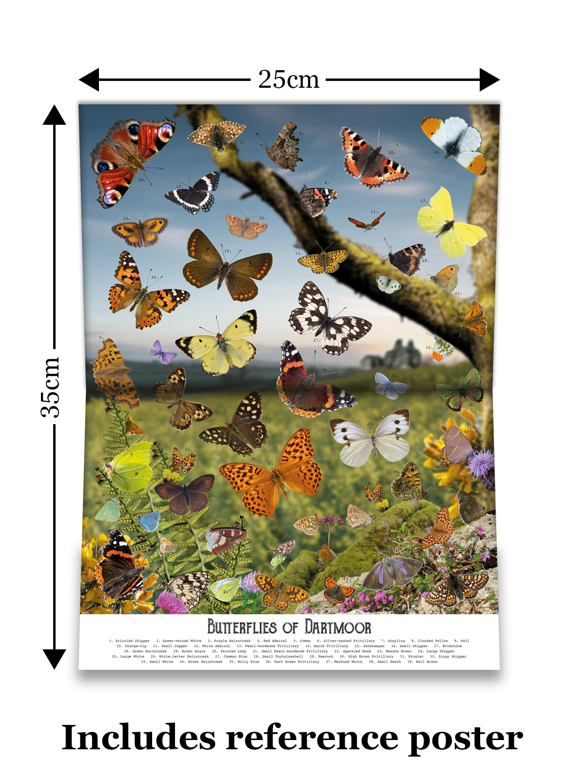 Measurements of the Butterflies of Dartmoor jigsaw puzzle reference poster from Jam Contemporary Art