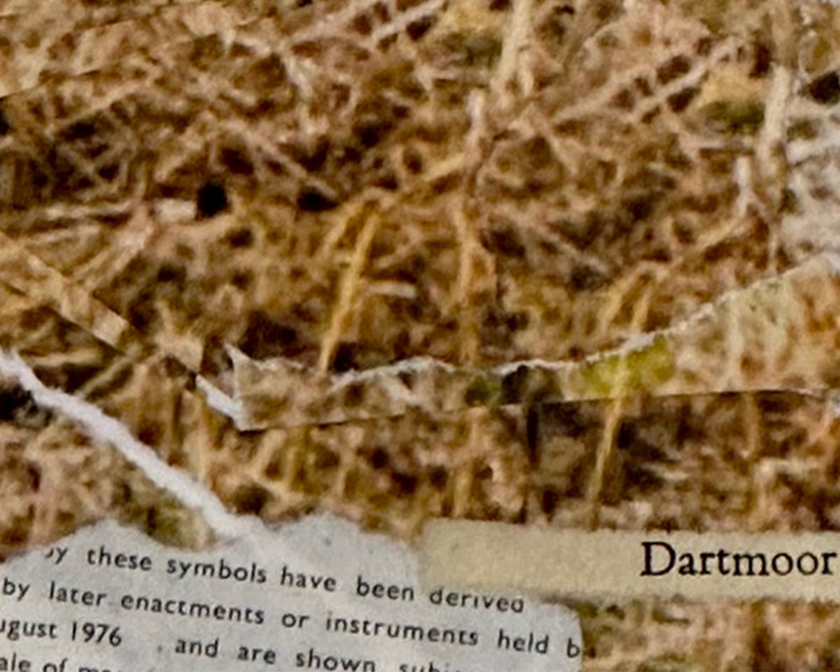 Dartmoor Collage IV (Small)