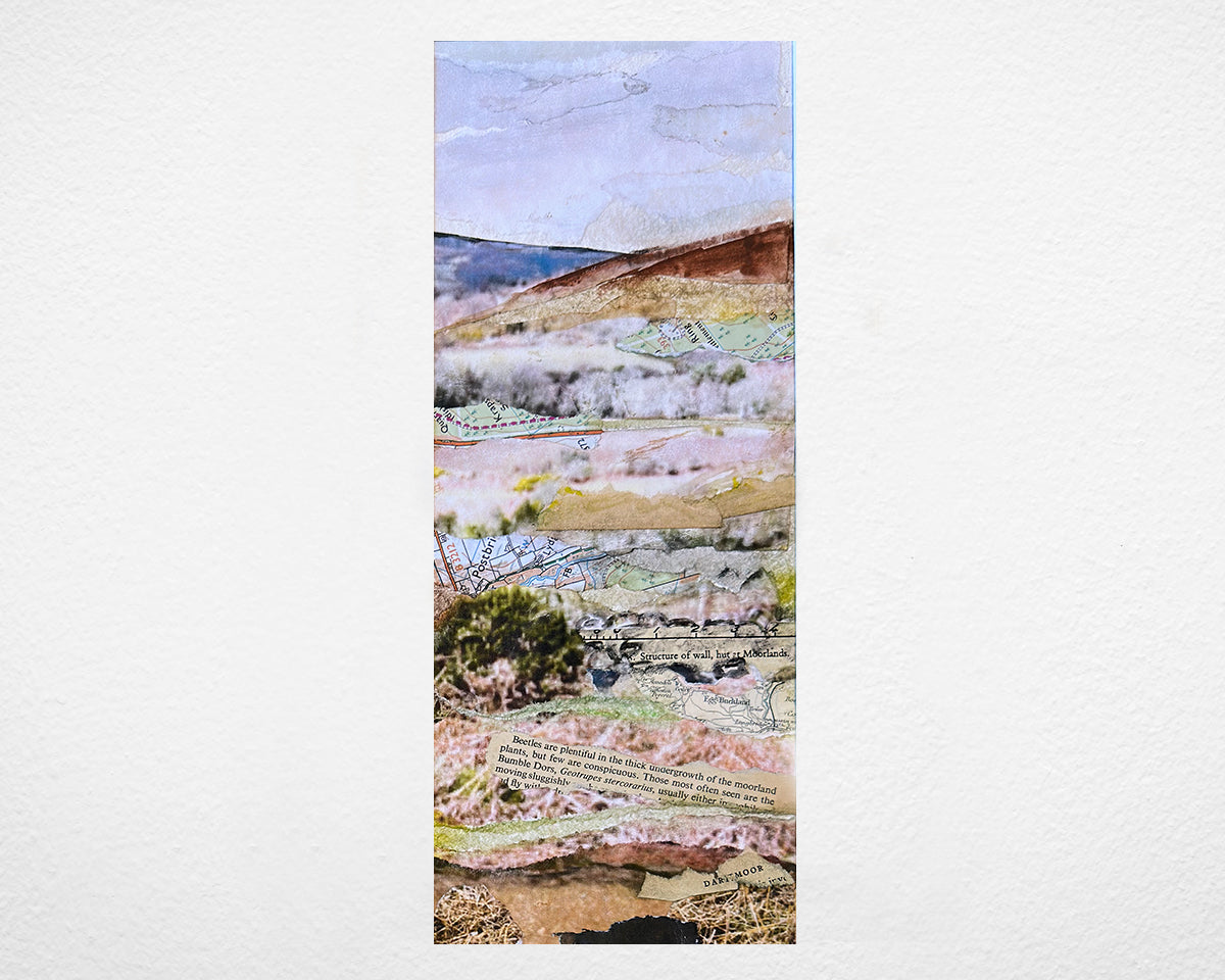 Dartmoor Panoramic Collage by Glen Middleham