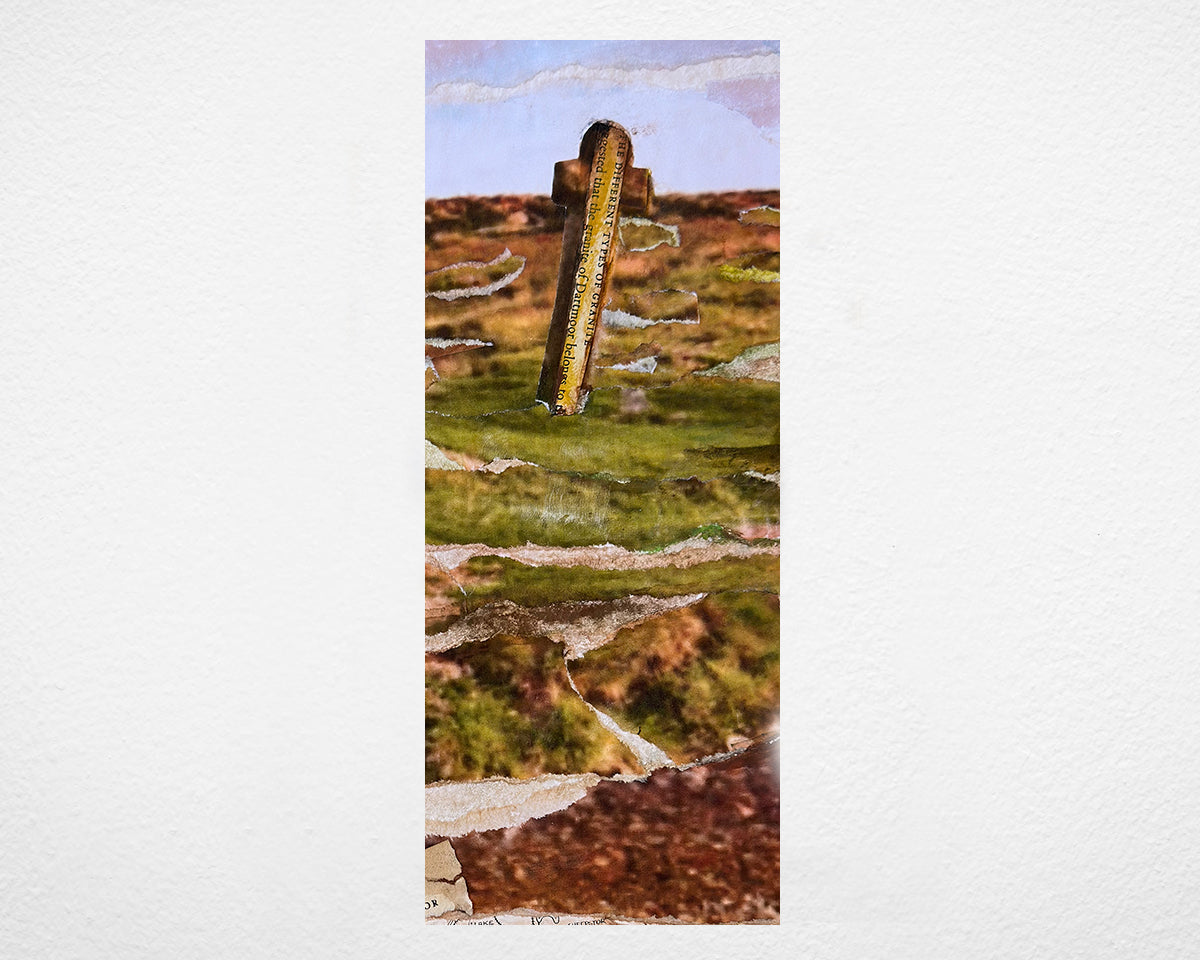 Dartmoor Panoramic Collage by Glen Middleham