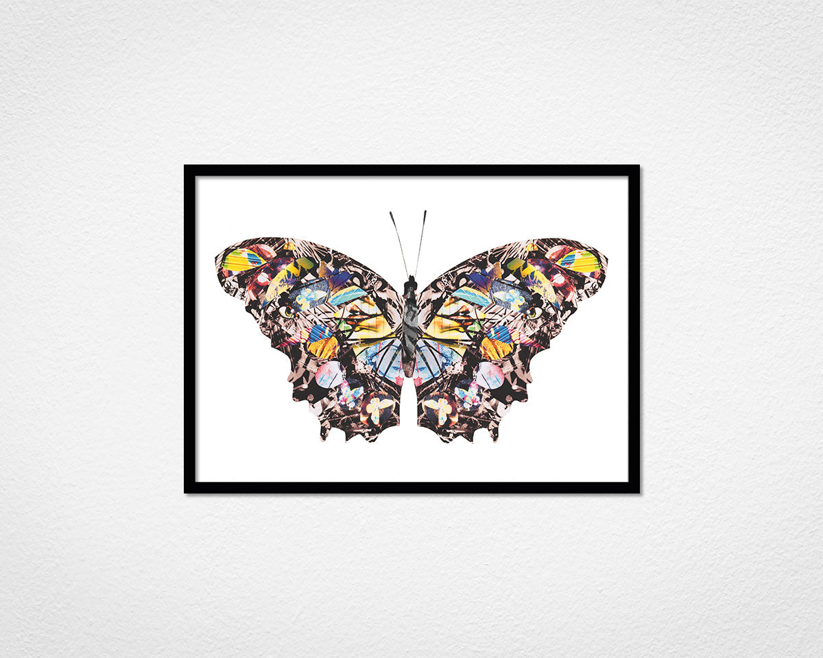 Graffiti Papillon - image of framed print by Glen Middleham in black frame