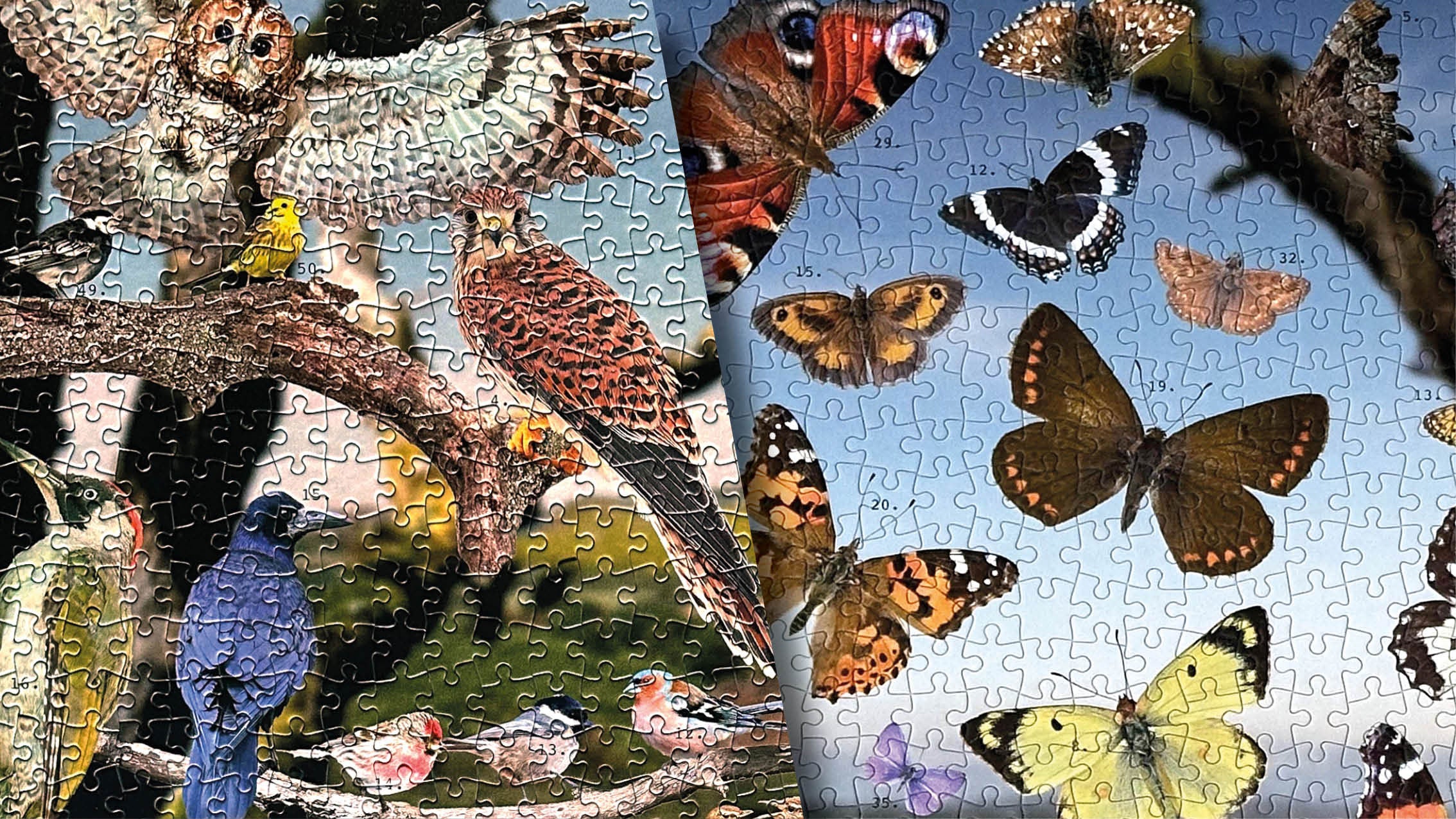 Image of the Dartmoor-inspired jigsaws available from Jam Contemporary Art
