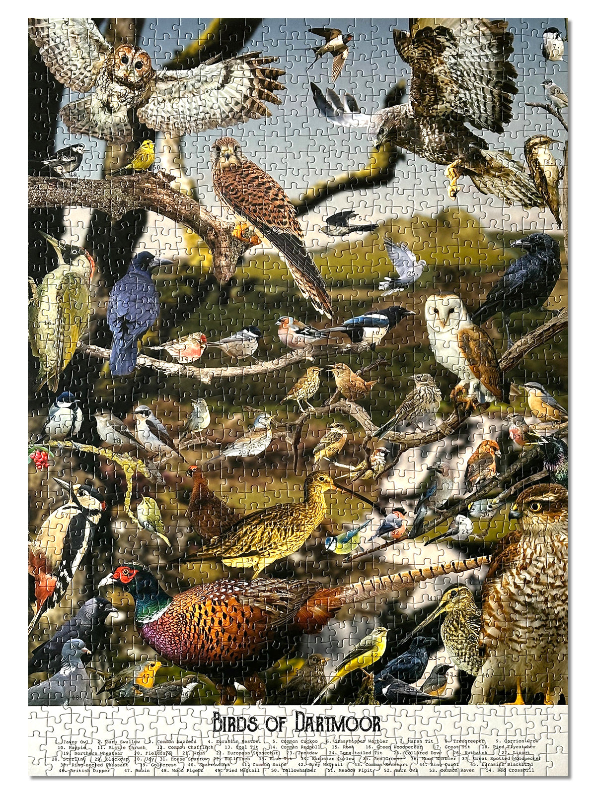 Birds of Dartmoor jigsaw puzzle from Jam Contemporary Art