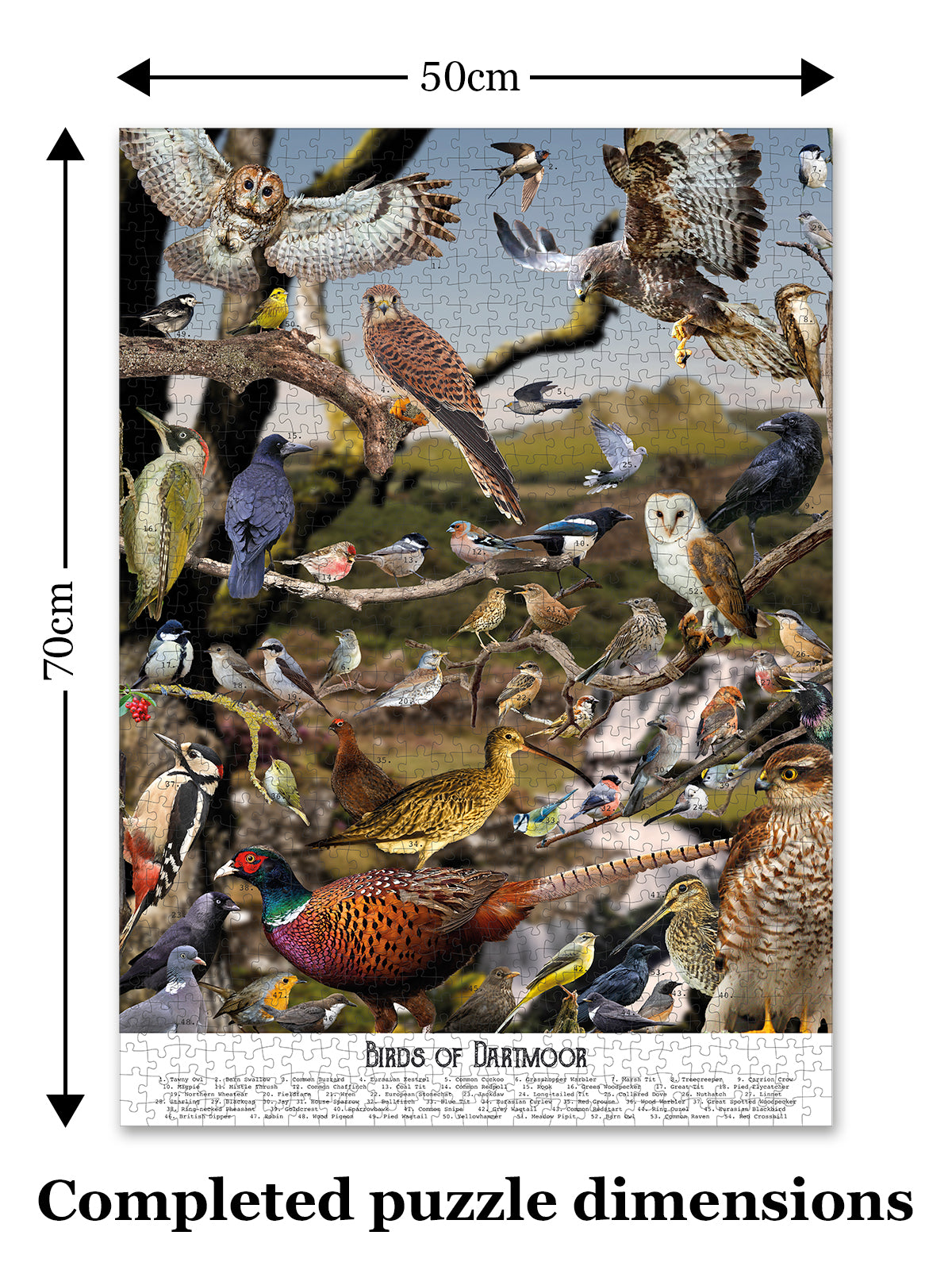 Birds of Dartmoor jigsaw puzzle from Jam Contemporary Art