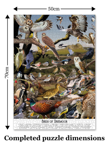 Birds of Dartmoor jigsaw puzzle from Jam Contemporary Art