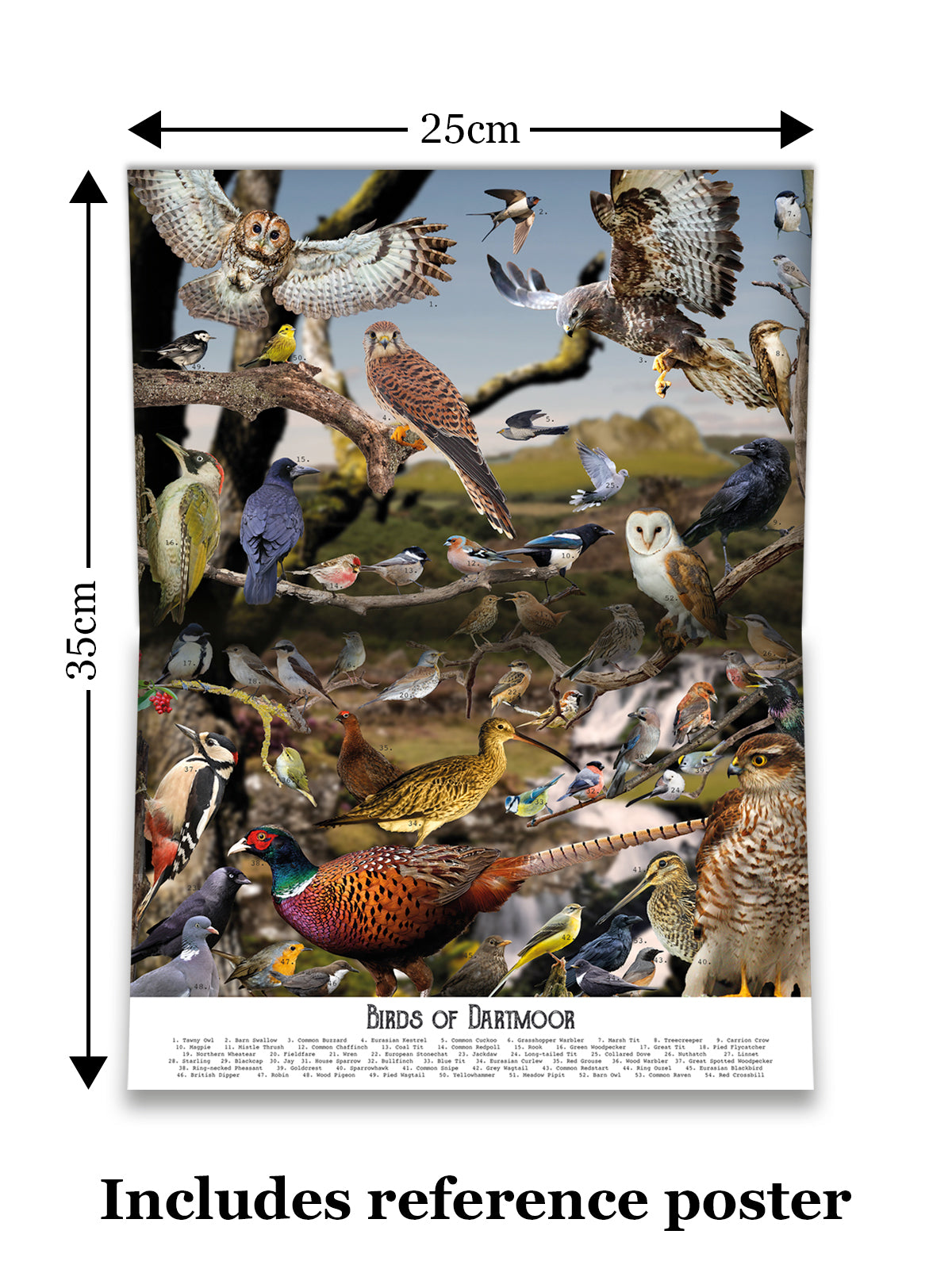 Birds of Dartmoor jigsaw puzzle from Jam Contemporary Art