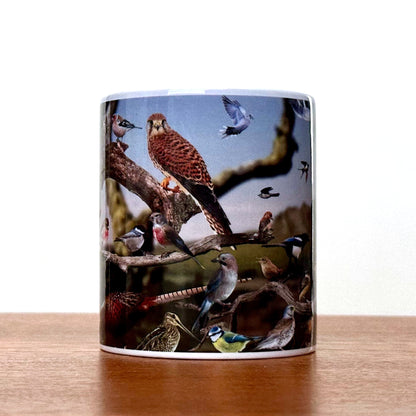 Birds of Dartmoor Ceramic mug