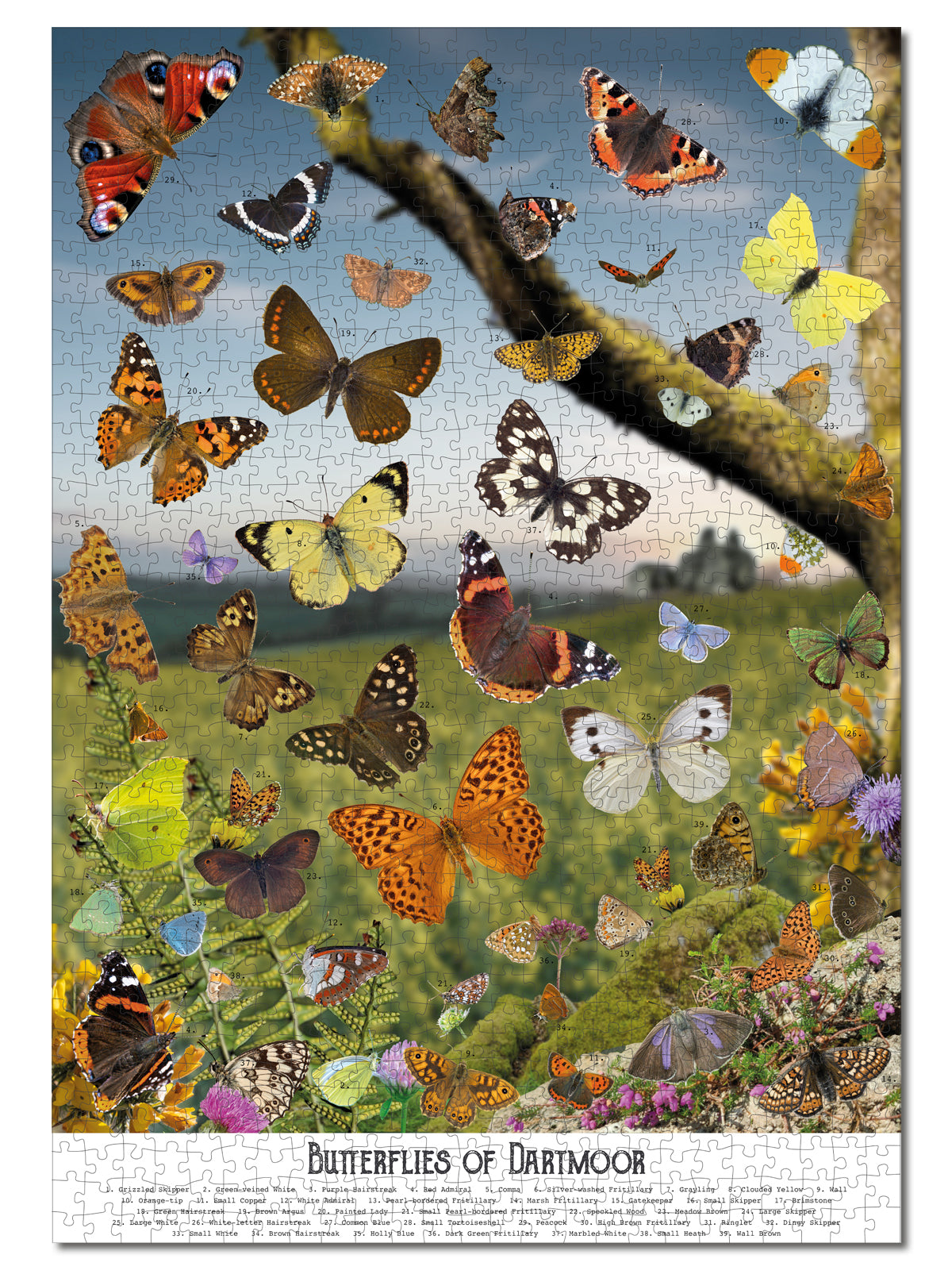 Butterflies of Dartmoor jigsaw puzzle from Jam Contemporary Art