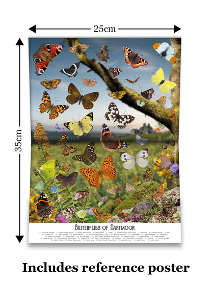 Butterflies of Dartmoor jigsaw puzzle from Jam Contemporary Art