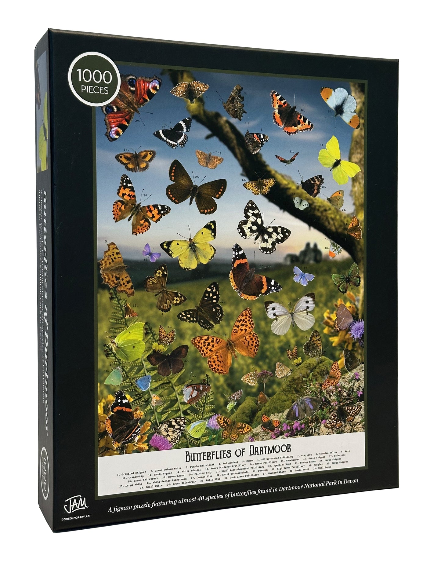 Butterflies of Dartmoor jigsaw puzzle from Jam Contemporary Art