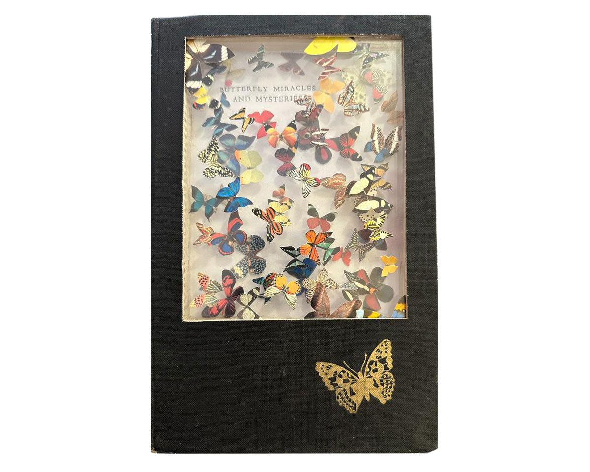 'Butterfly Mysteries and Miracles' diorama by Glen Middleham