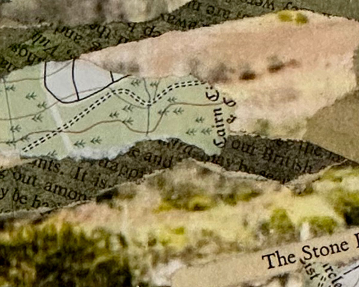 Collage of vintage maps and text with a focus on natural elements.