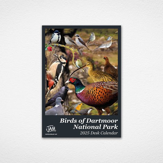 Birds of Dartmoor National Park 2025 Desk Calendar