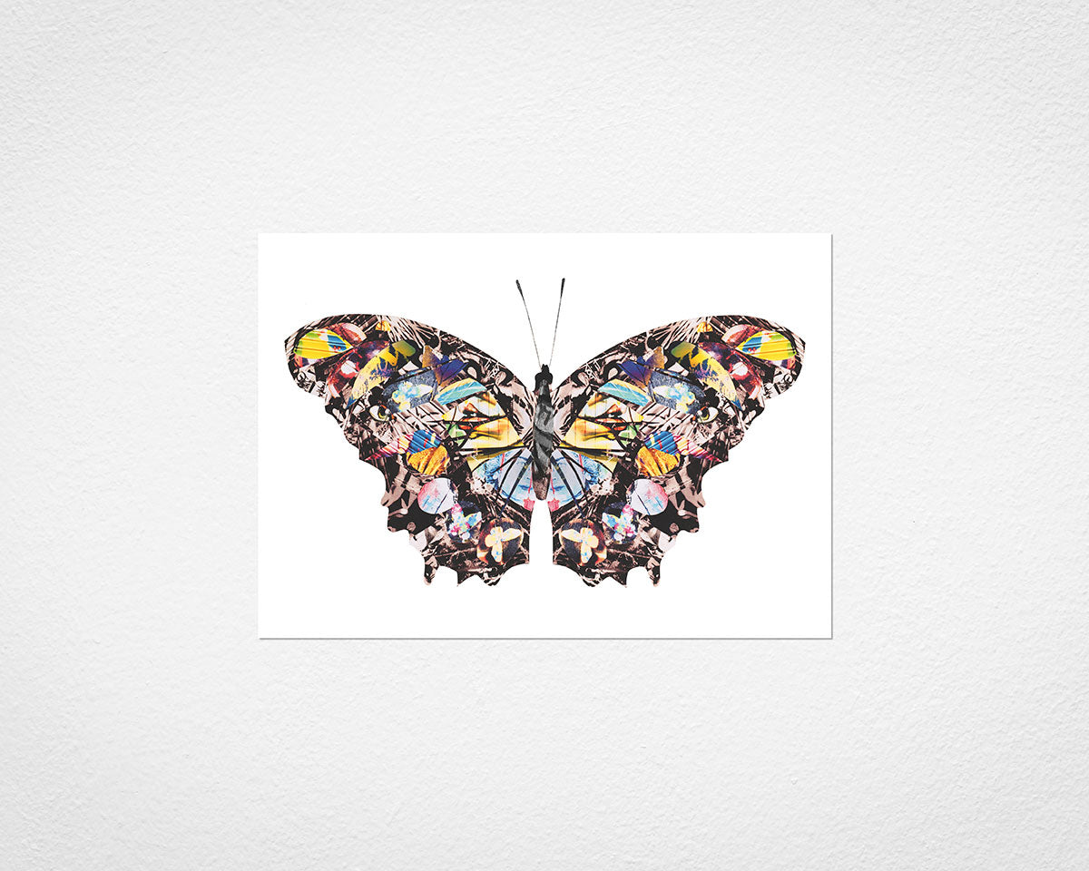 Graffiti Papillon - image of print by Glen Middleham