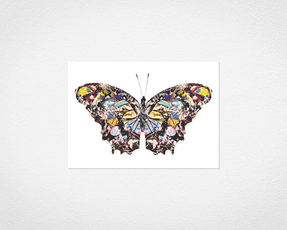 Graffiti Papillon - image of print by Glen Middleham