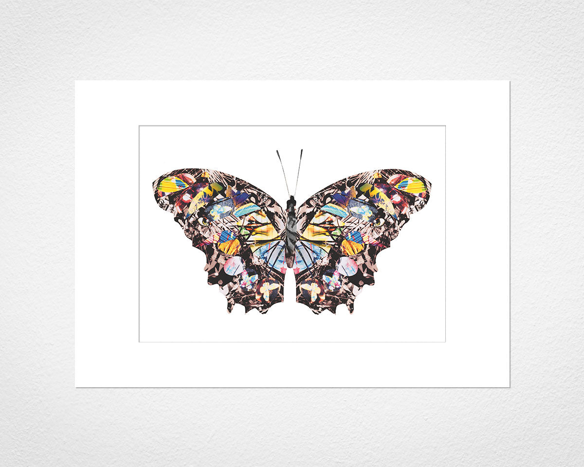 Graffiti Papillon - image of mounted print by Glen Middleham