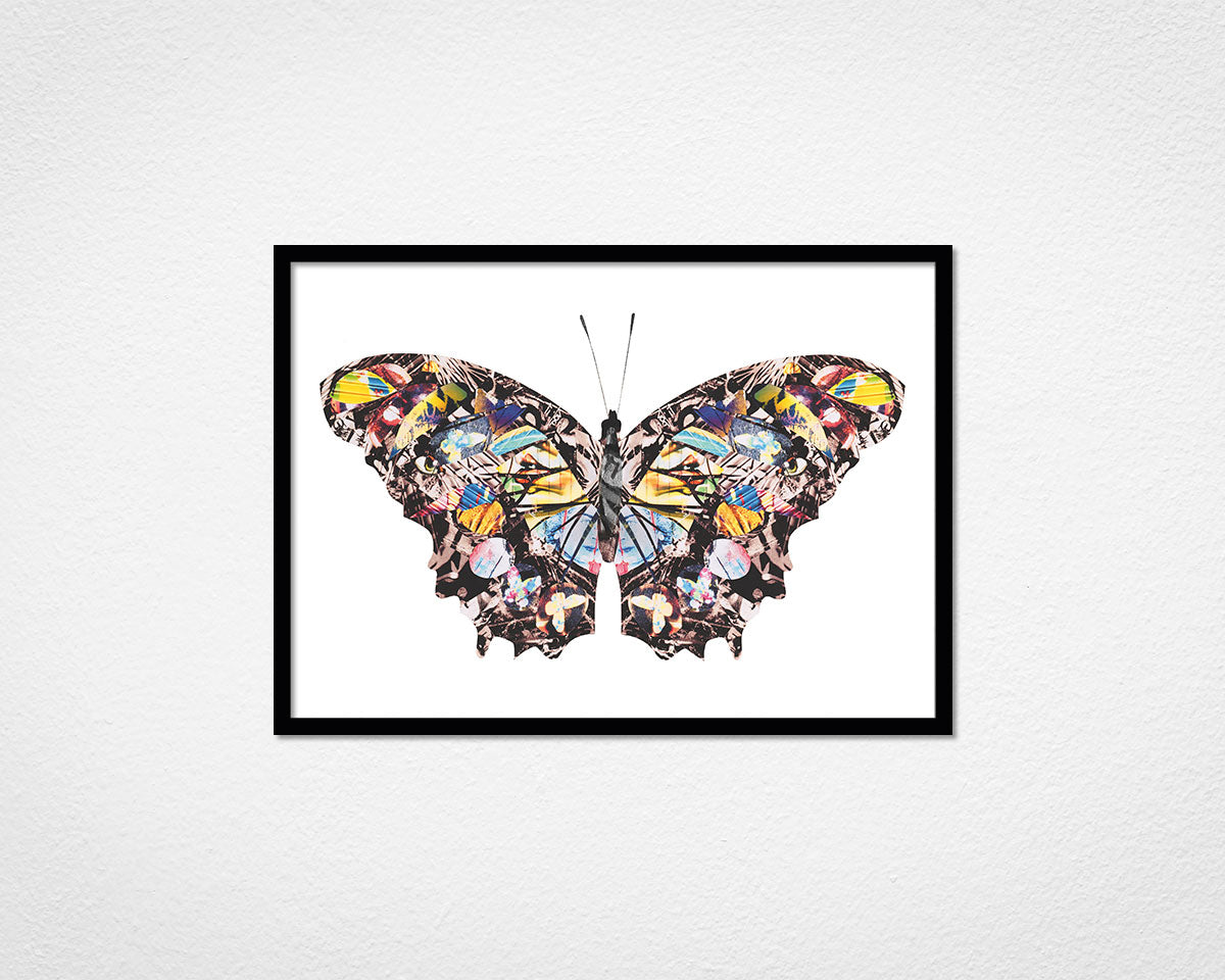 Graffiti Papillon - image of framed print by Glen Middleham in black frame