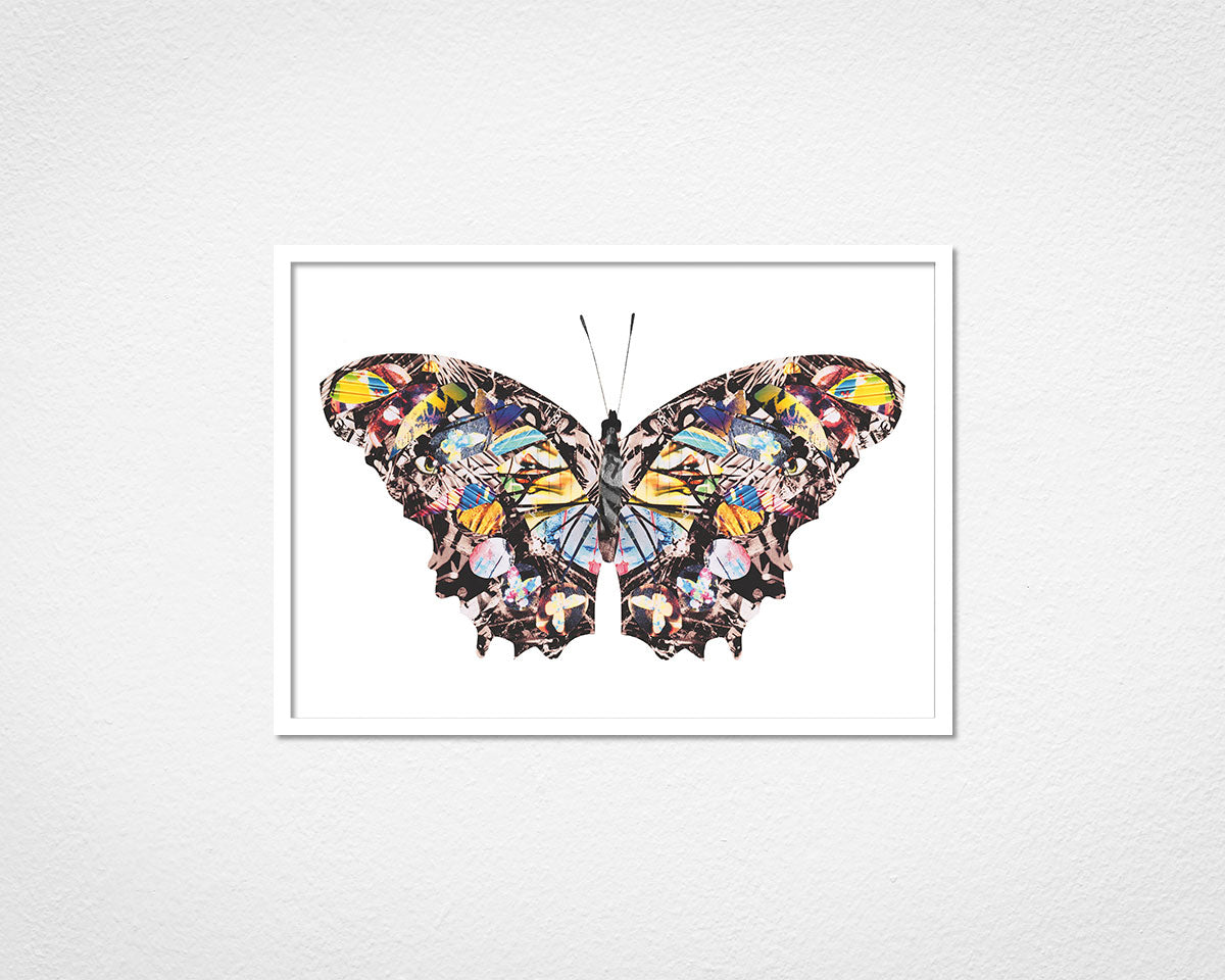 Graffiti Papillon - image of framed print by Glen Middleham in white frame