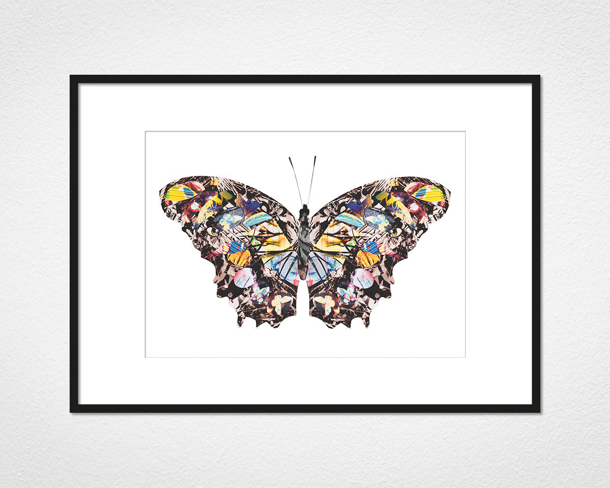 Graffiti Papillon - image of mounted print by Glen Middleham in black frame