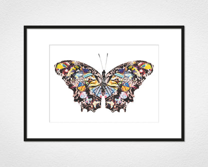 Graffiti Papillon - image of mounted print by Glen Middleham in black frame