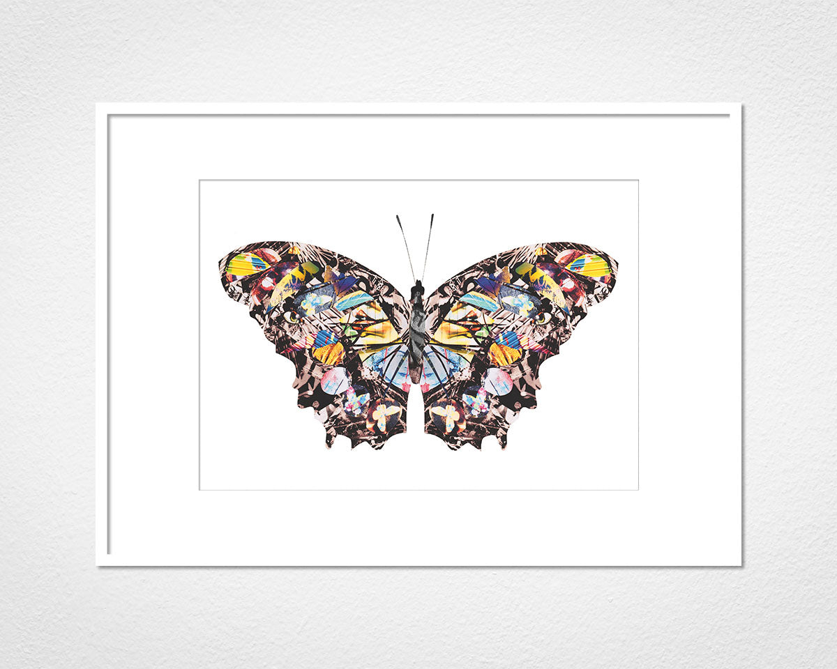 Graffiti Papillon - image of mounted print by Glen Middleham in white frame