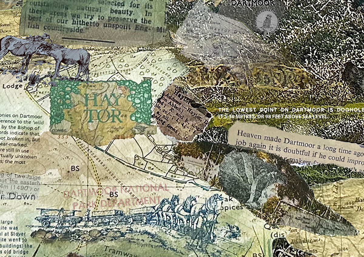 Collage of maps, text, and nature elements with animals and landscapes of Dartmoor National Park in Devon.