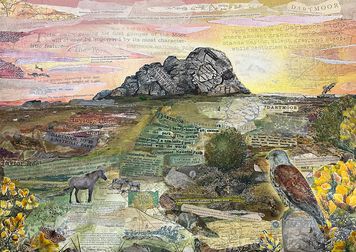 Collage of Dartmoor landscape featuring Haytor with natural elements and text