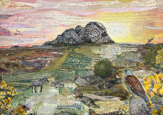 Collage of Dartmoor landscape featuring Haytor with natural elements and text