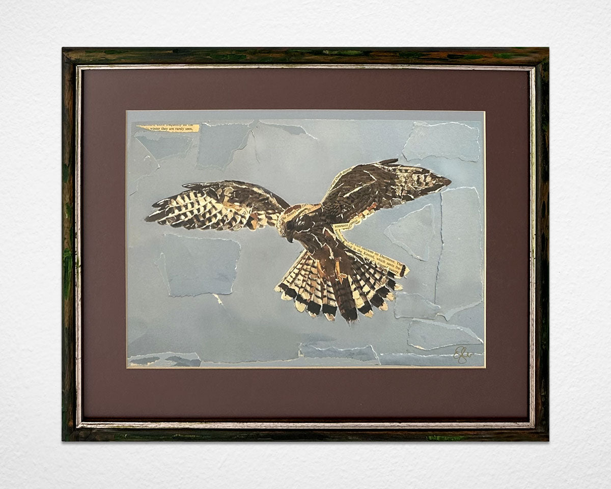 'Kestrel Collage' print by Glen Middleham in a vintage distressed frame