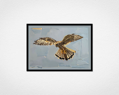 Kestrel Collage - image of framed print by Glen Middleham in black frame