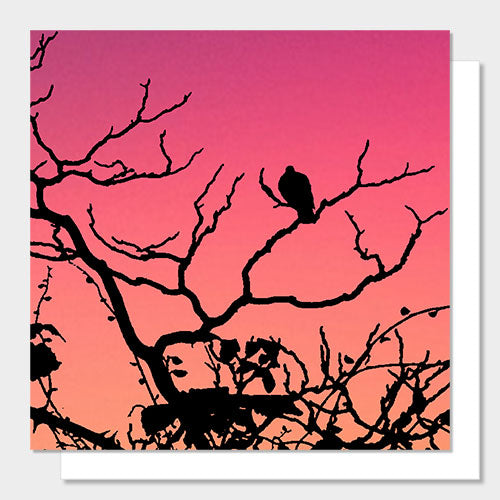 Greetings card featuring a bird in a tree in Dartmoor National Park in Devon