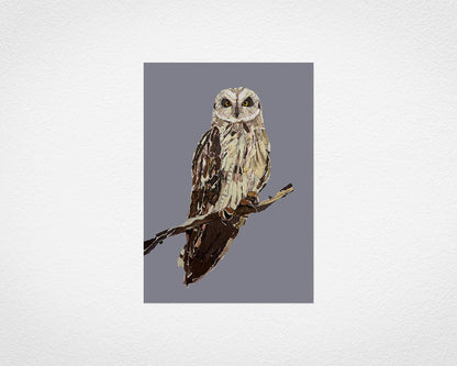 Print of The Short-eared Owl by Glen Middleham