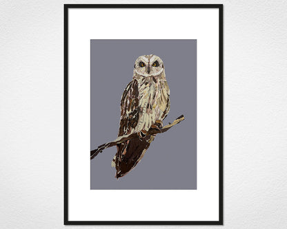 Framed and mounted print of The Short-eared Owl by Glen Middleham