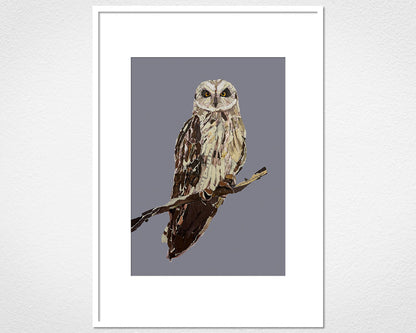 Framed and mounted print of The Short-eared Owl by Glen Middleham