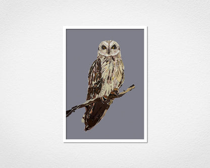 Framed print of The Short-eared Owl by Glen Middleham