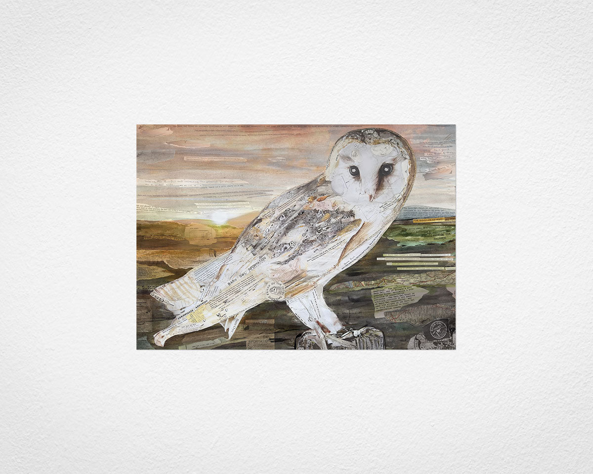 The Barn Owl collage print by Glen Middleham - Jam x Barn Owl Trust