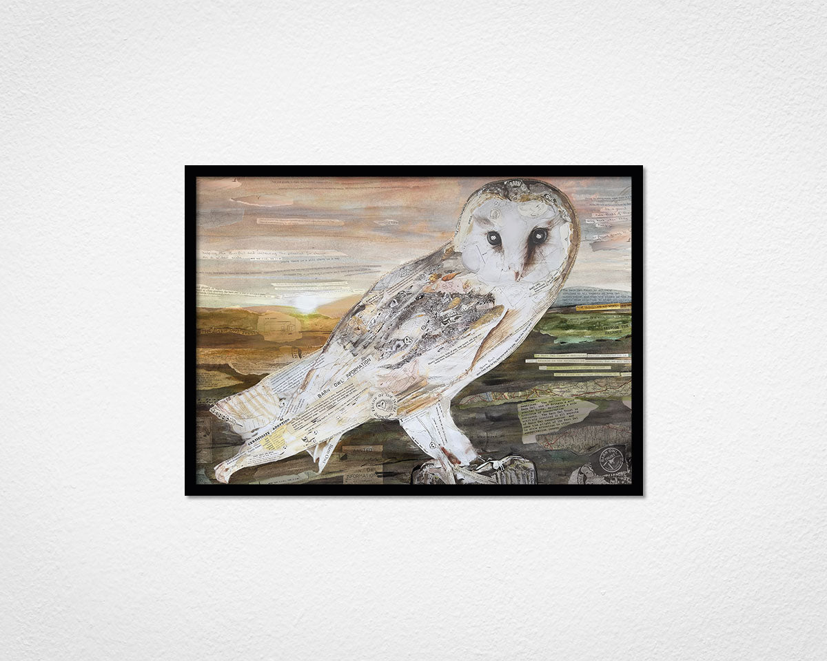 The Barn Owl collage print by Glen Middleham - Jam x Barn Owl Trust