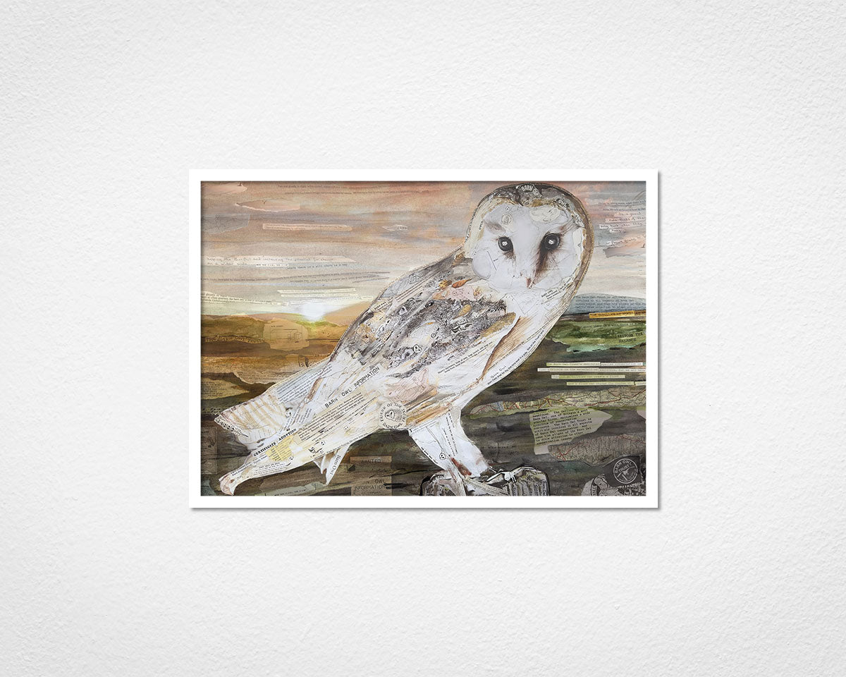 The Barn Owl collage print by Glen Middleham - Jam x Barn Owl Trust