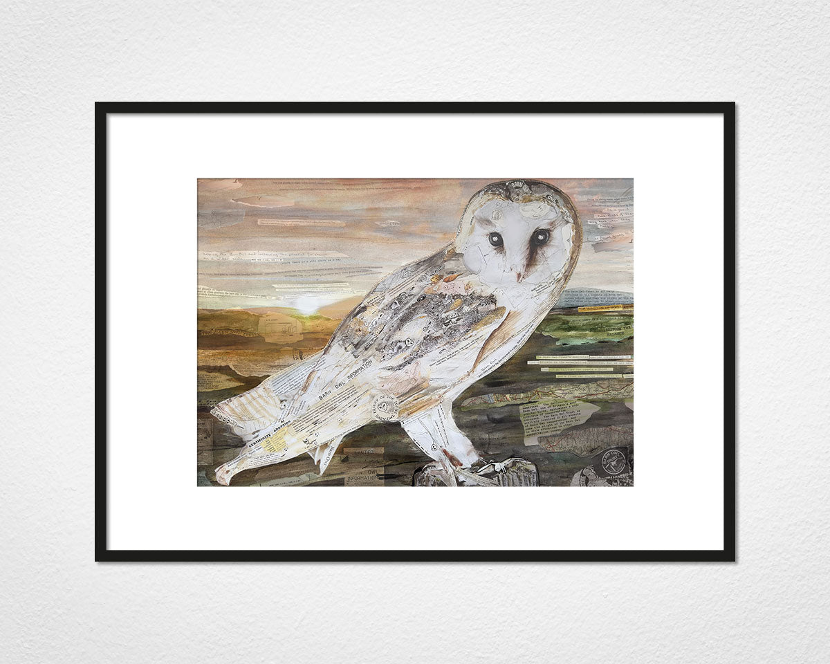The Barn Owl collage print by Glen Middleham - Jam x Barn Owl Trust