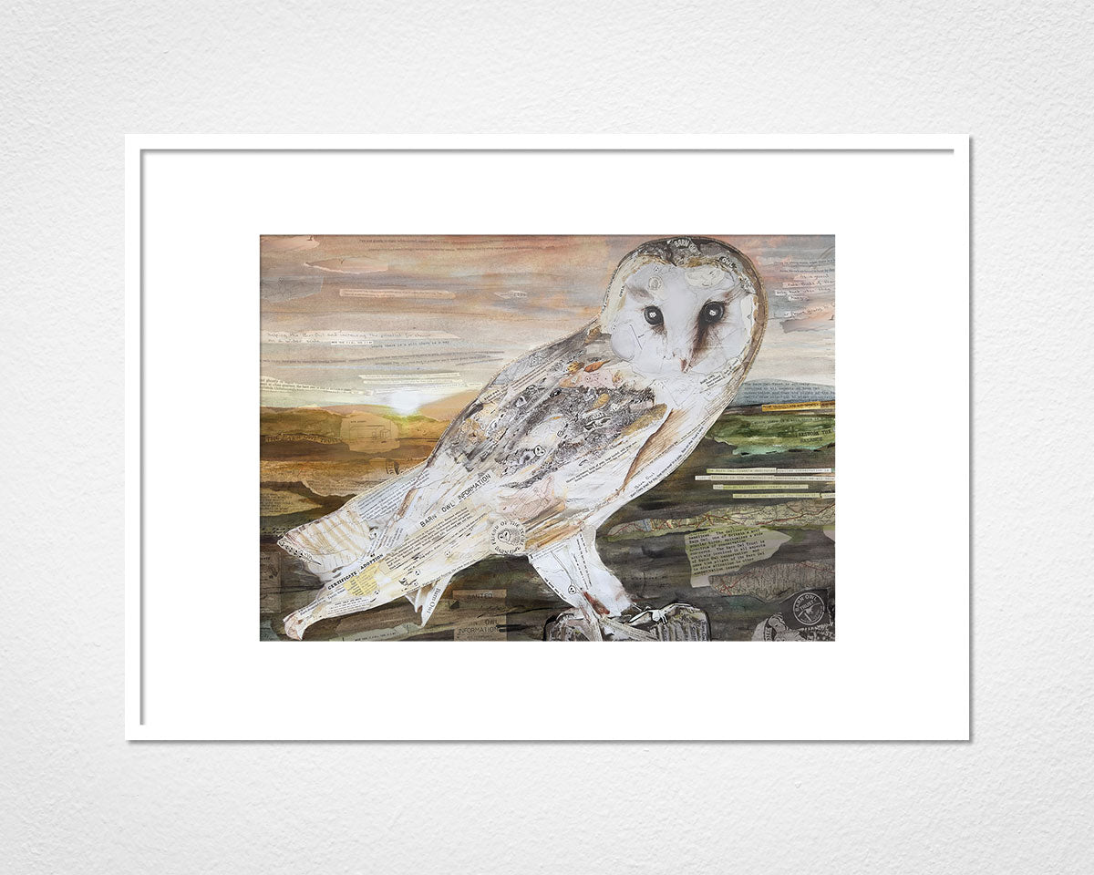 The Barn Owl collage print by Glen Middleham - Jam x Barn Owl Trust