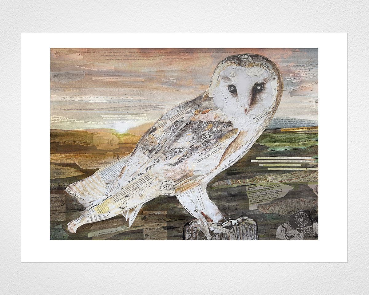 The Barn Owl giclee fine art print - Glen Middleham - Jam Contemporary Art x Barn Owl Trust