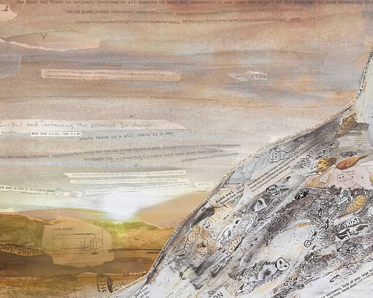 The Barn Owl giclee fine art print - Glen Middleham - Jam Contemporary Art x Barn Owl Trust