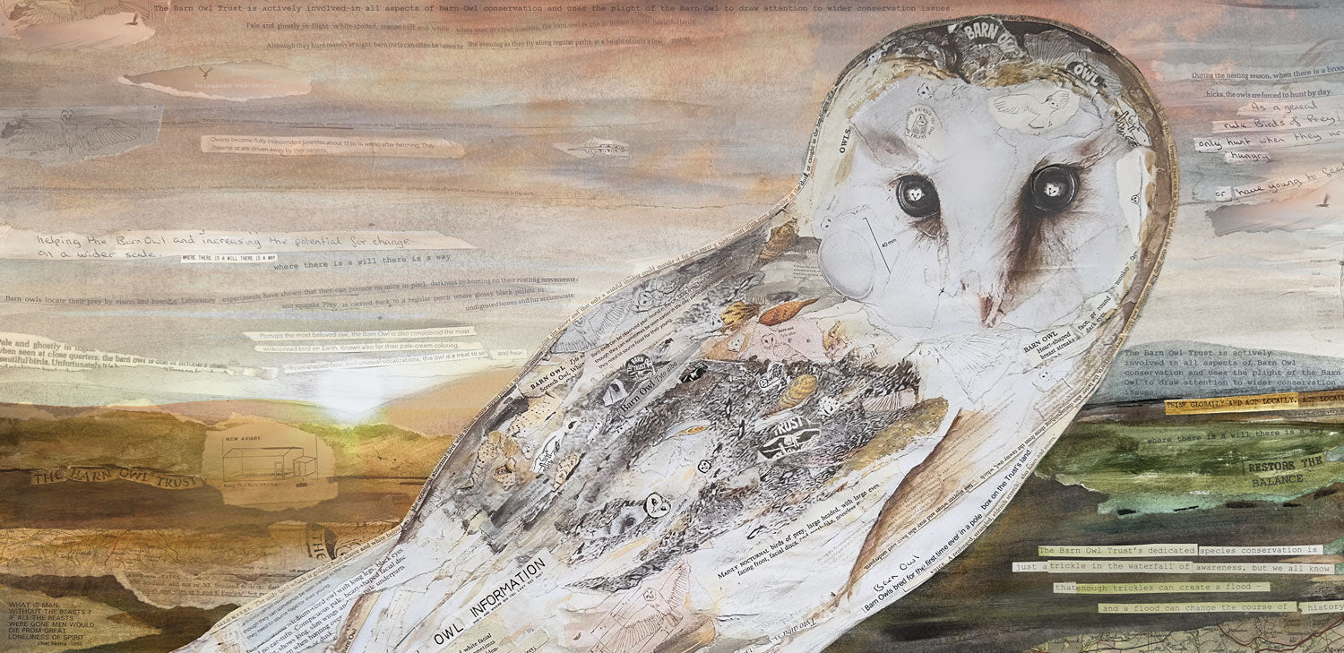 The Barn Owl - Original collage by Glen Middleham - Jam Contemporary Art and Barn Owl Trust collaboration