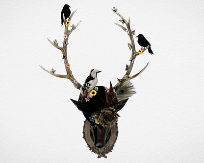 'Trophy Deer' statement art piece by Glen Middleham