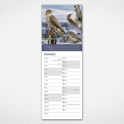 Birds of Dartmoor National Park 2025 Wall Calendar