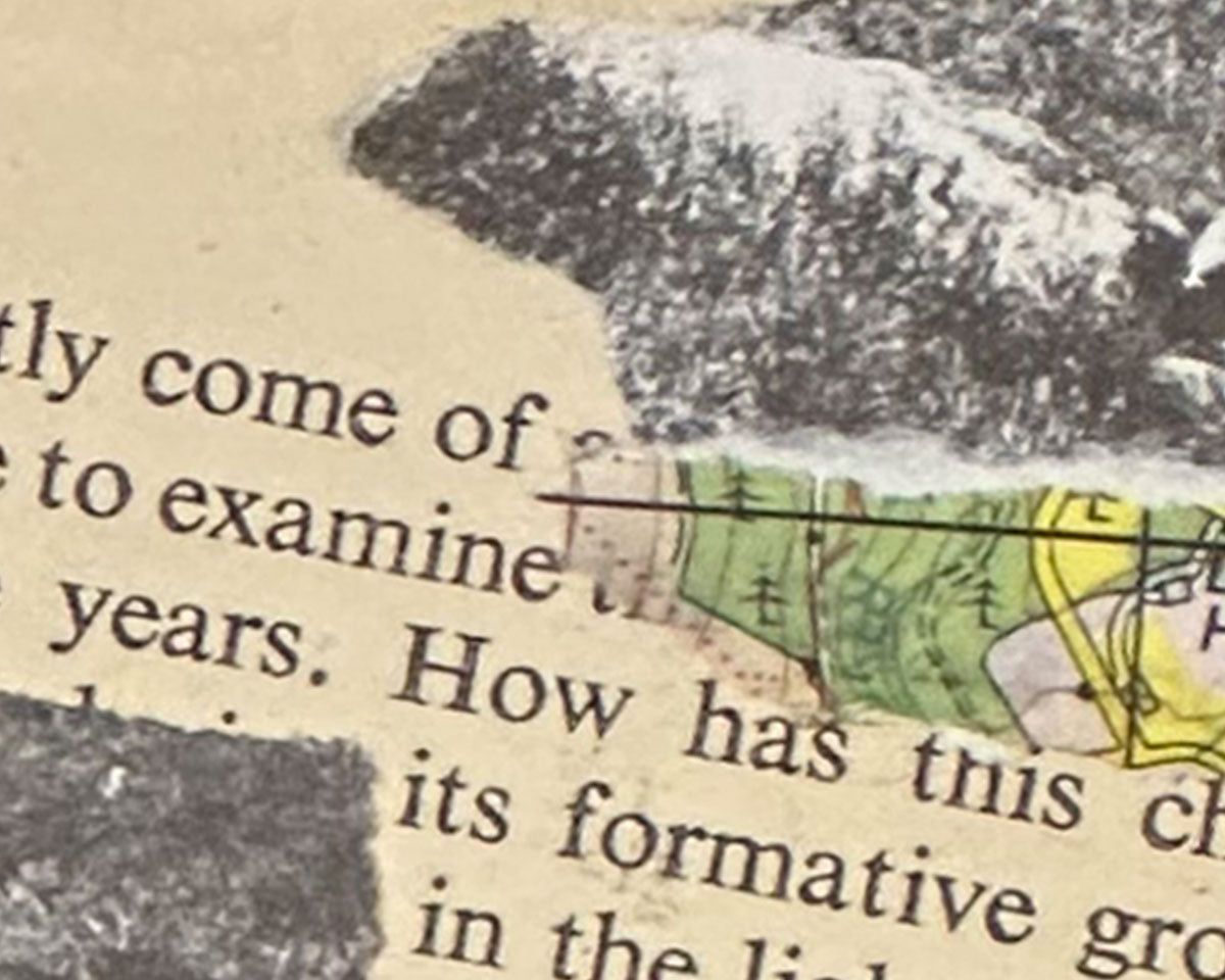 Detail of Dartmoor Collage I - Miniature