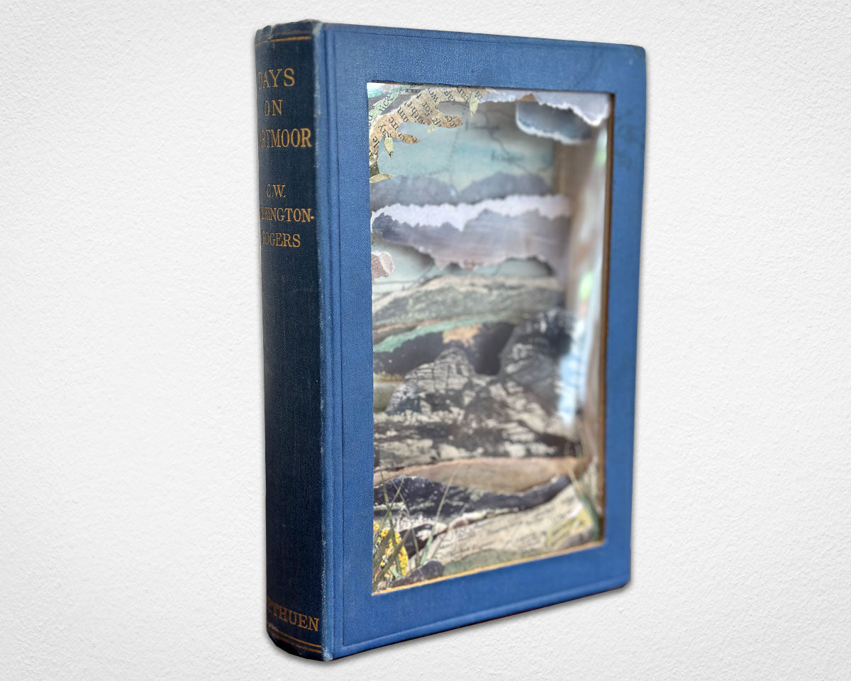 Days on Dartmoor diorama in a vintage book by Glen Middleham